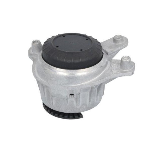 REINHOCH Lagerung, Motor RH11-3159