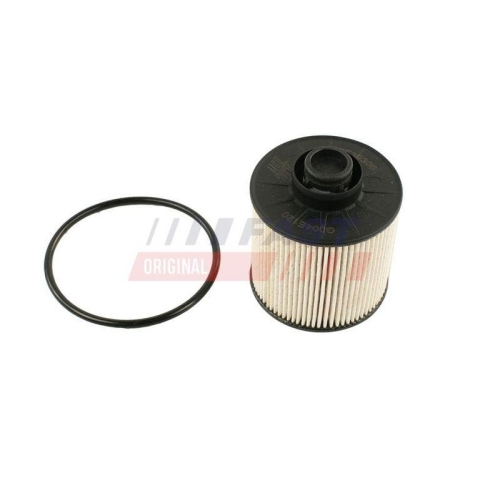 FAST Filter, Kraftstoff-F&ouml;rdereinheit FT39306