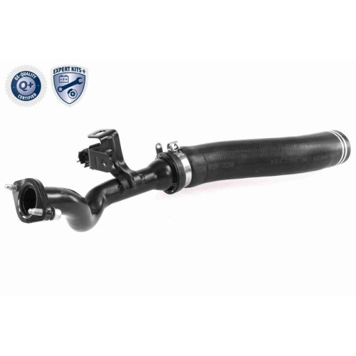 VAICO Ladeluftschlauch EXPERT KITS + V24-0722