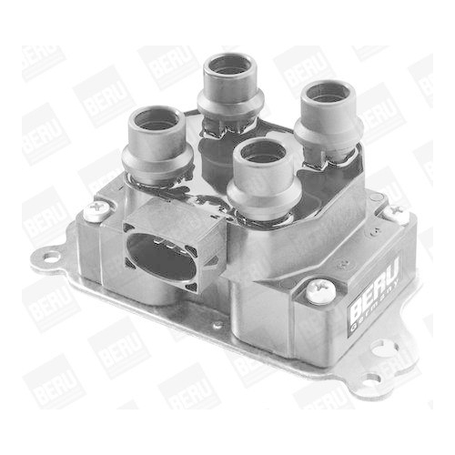 BorgWarner (BERU) Z&uuml;ndspule ZS237
