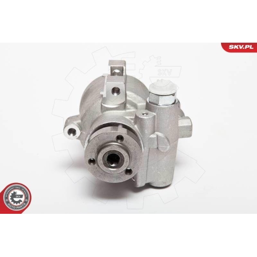 ESEN SKV Hydraulikpumpe, Lenkung