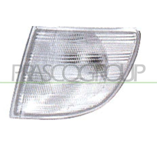 PRASCO Blinkleuchte TYC ME9074014