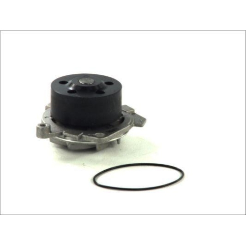 THERMOTEC Wasserpumpe, Motork&uuml;hlung D1D019TT