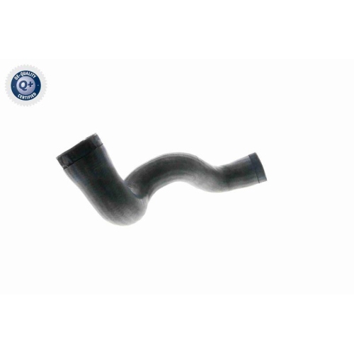 VAICO Ladeluftschlauch Q+, Erstausrüsterqualität V10-3141