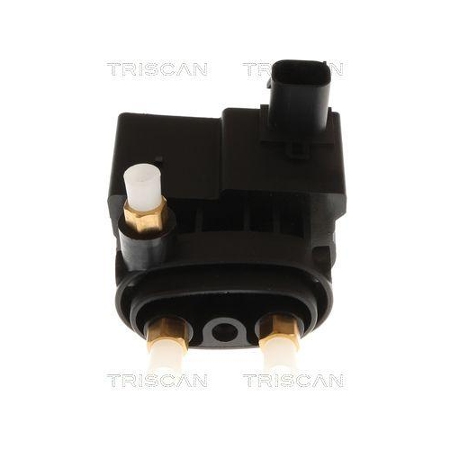 TRISCAN Kompressor, Druckluftanlage