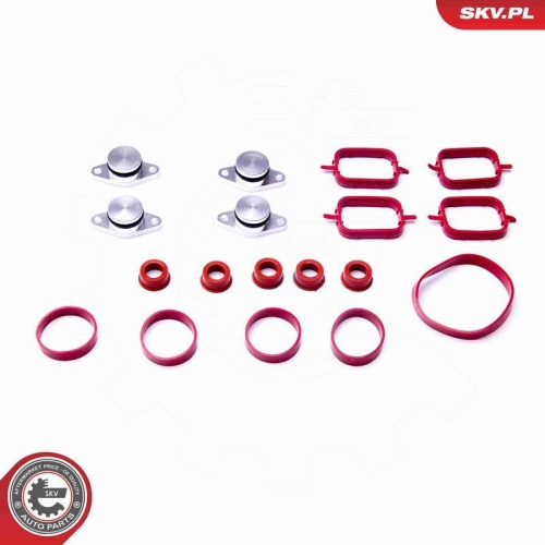 ESEN SKV Dichtungssatz, Ansaugkr&uuml;mmer 96SKV054