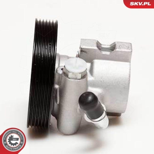 ESEN SKV Hydraulikpumpe, Lenkung 10SKV031