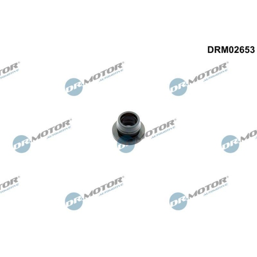 Dr.Motor Automotive Dichtring, &Ouml;lauslass (Lader) DRM02653