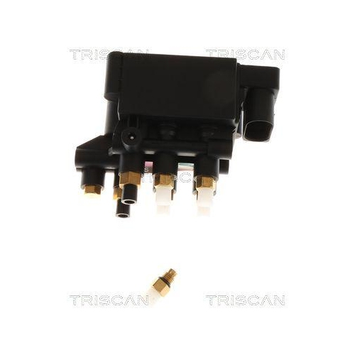 TRISCAN Kompressor, Druckluftanlage