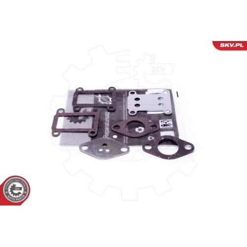 ESEN SKV Reparatursatz, AGR-Ventil