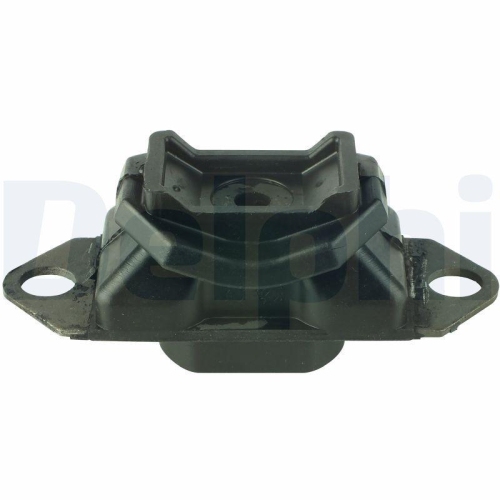 DELPHI Lagerung, Motor TEM028