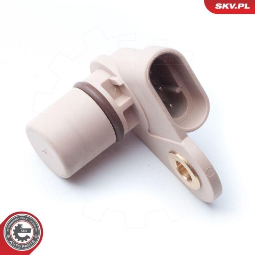 ESEN SKV Sensor, Nockenwellenposition 17SKV246