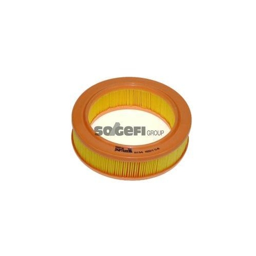 PURFLUX Luftfilter A194