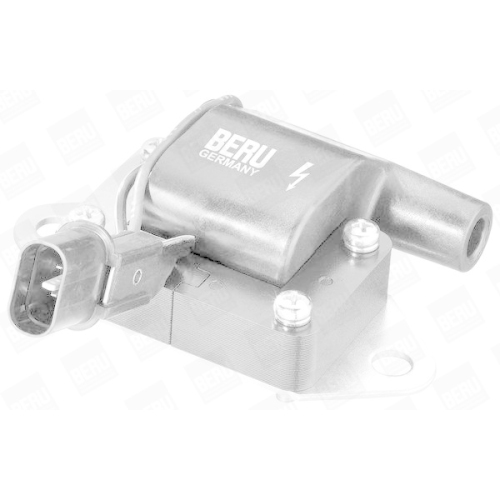 BorgWarner (BERU) Z&uuml;ndspule ZS263