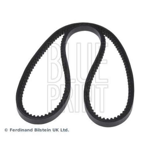 BLUE PRINT Keilriemen AD10V800