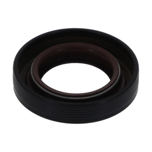 PAYEN Wellendichtring, Differential NF825