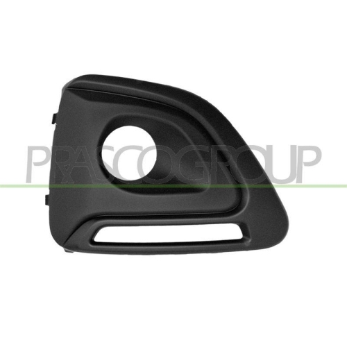 PRASCO L&uuml;ftungsgitter, Sto&szlig;f&auml;nger PG2062113