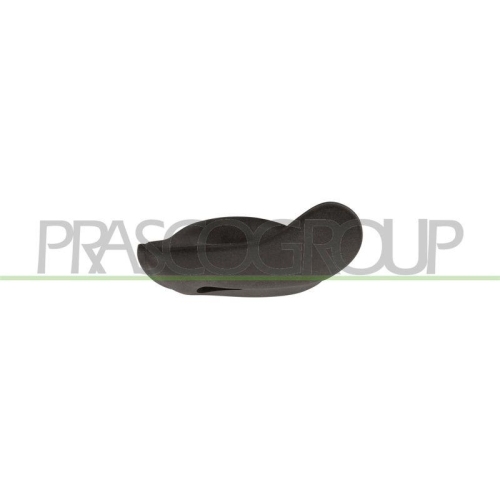 PRASCO T&uuml;rgriff, Innenausstattung FT1378602