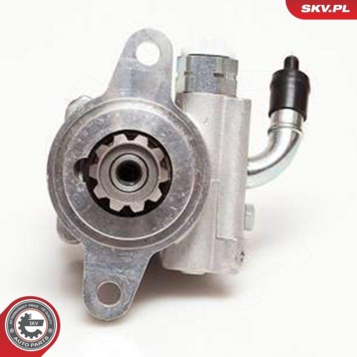 ESEN SKV Hydraulikpumpe, Lenkung 10SKV032