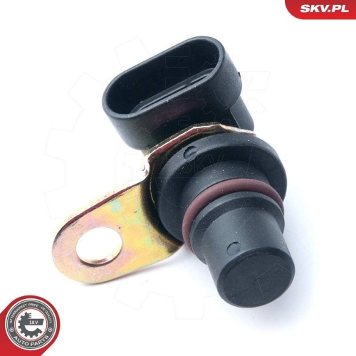 ESEN SKV Sensor, Nockenwellenposition 17SKV248