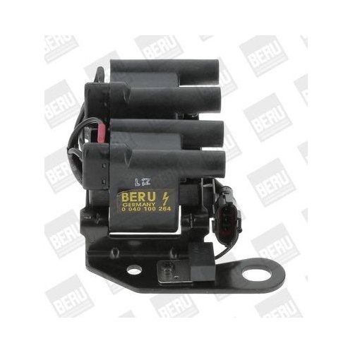 BorgWarner (BERU) Z&uuml;ndspule ZS264
