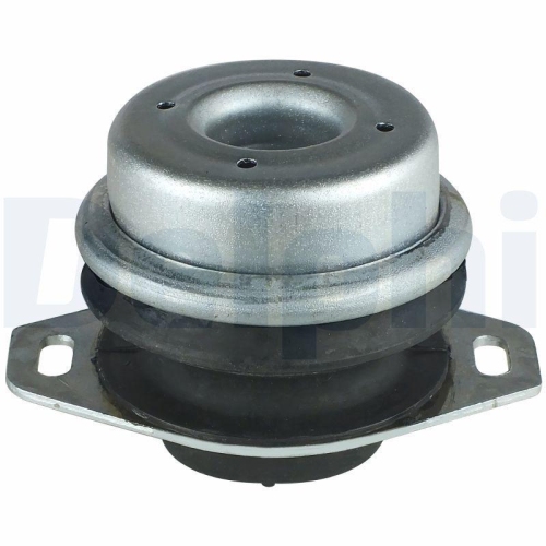 DELPHI Lagerung, Motor TEM033