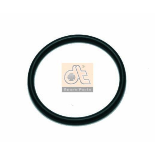 DT Spare Parts Dichtring 4.20462