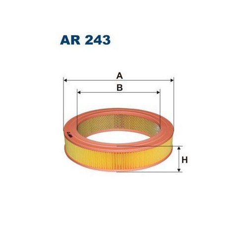FILTRON Luftfilter AR 243