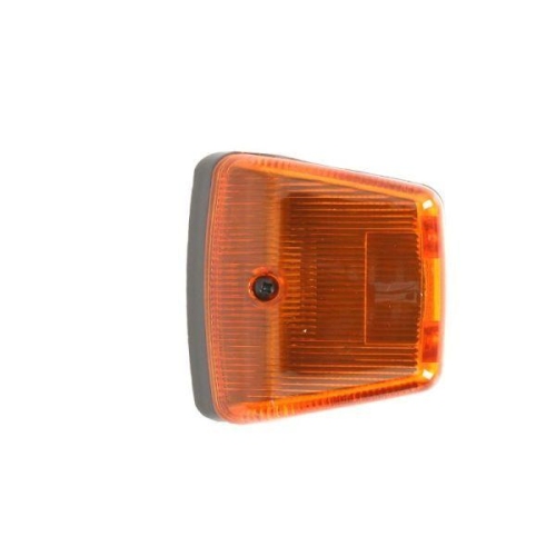 TRUCKLIGHT Blinkleuchte CL-ME004R