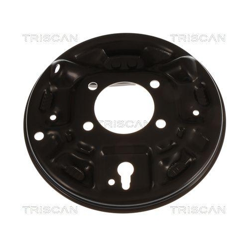 TRISCAN Spritzblech, Bremsscheibe 8125 10201