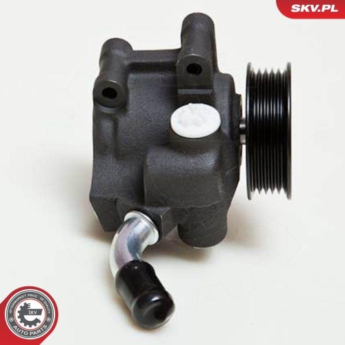ESEN SKV Hydraulikpumpe, Lenkung 10SKV035