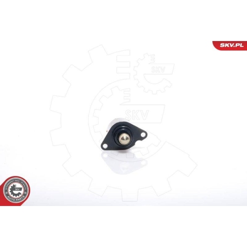 ESEN SKV Leerlaufregelventil, Luftversorgung 08SKV017