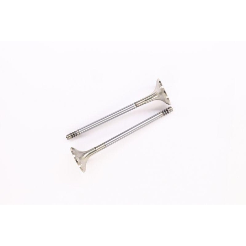 CORTECO Auslassventil 554029B