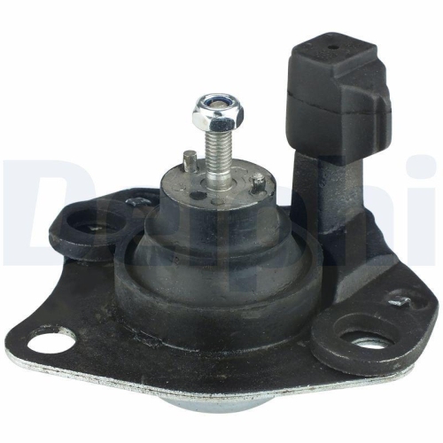 DELPHI Lagerung, Motor TEM039