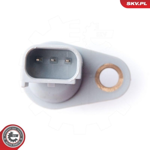ESEN SKV Sensor, Nockenwellenposition 17SKV260