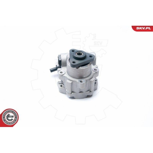 ESEN SKV Hydraulikpumpe, Lenkung