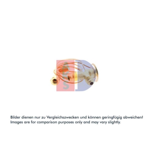 AKS DASIS Expansionsventil, Klimaanlage 840050N