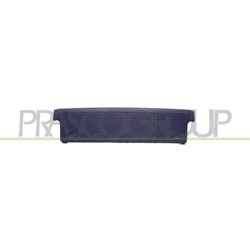 PRASCO Kennzeichenhalter BM0991549