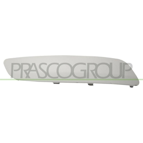 PRASCO Zier-/Schutzleiste, Sto&szlig;f&auml;nger VG5201243