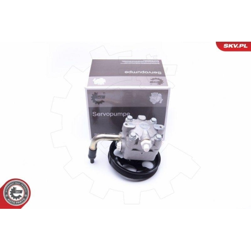 ESEN SKV Hydraulikpumpe, Lenkung