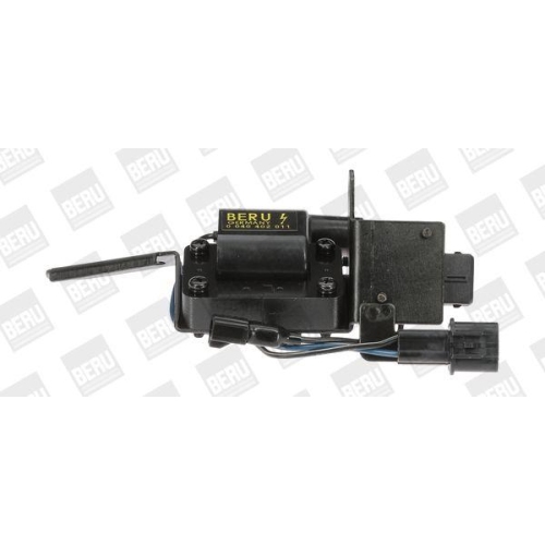 BorgWarner (BERU) Z&uuml;ndspule ZSE011