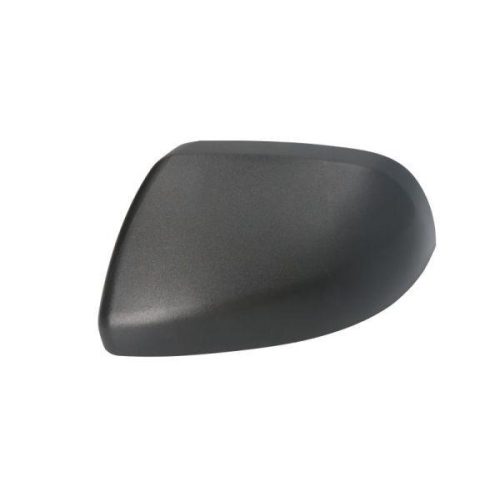 BLIC Gehäuse, Außenspiegel 6103-01-0203891P