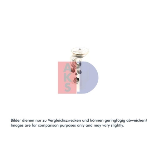 AKS DASIS Expansionsventil, Klimaanlage 840170N