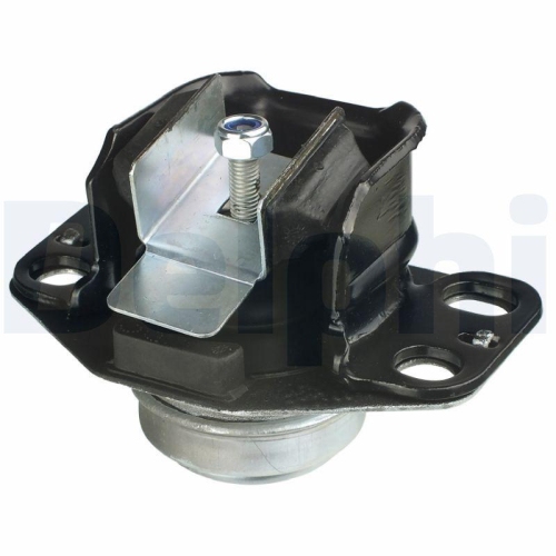 DELPHI Lagerung, Motor TEM046