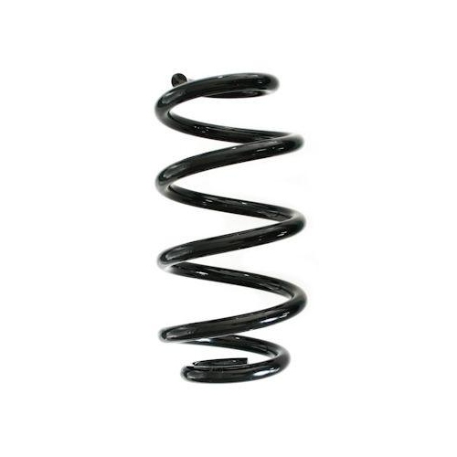 SPIDAN Fahrwerksfeder GKNW10251