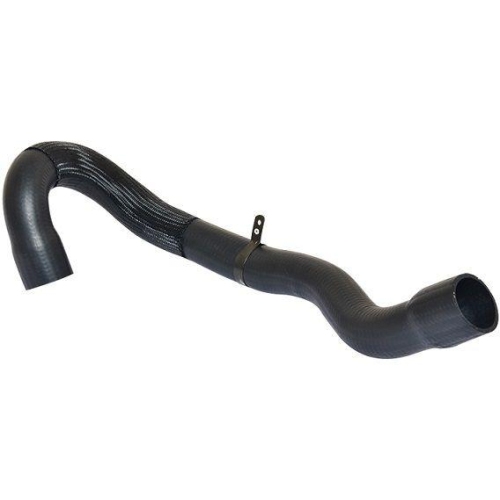 BUGIAD Ladeluftschlauch 88741