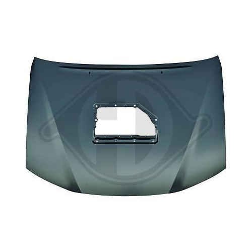 DIEDERICHS Motorhaube 6685800