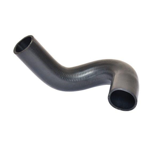 BUGIAD Ladeluftschlauch 88743
