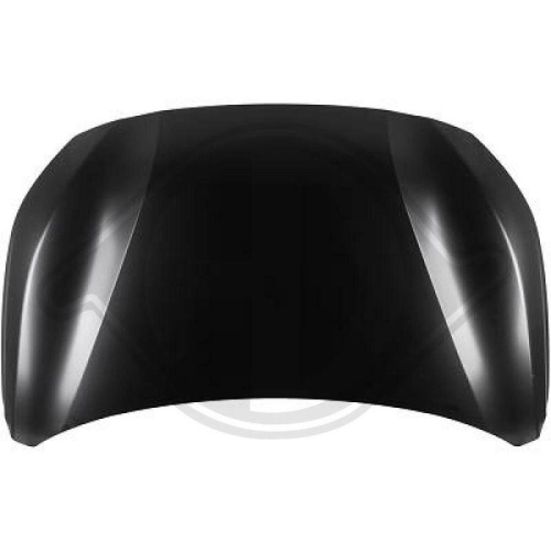 DIEDERICHS Motorhaube 4228000