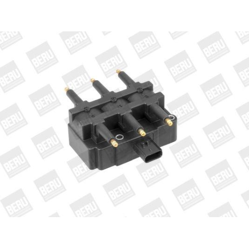 BorgWarner (BERU) Z&uuml;ndspule ZS456